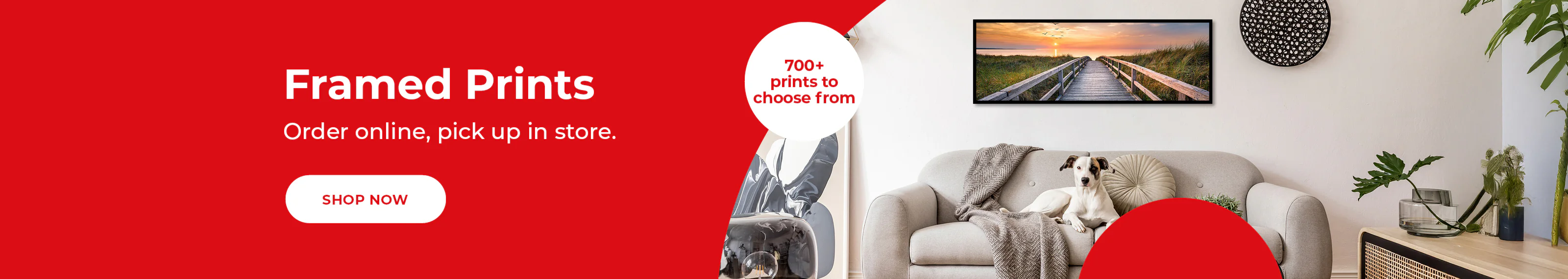 Everyday Essentials, Exceptional Value